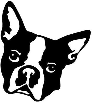 MAF - Boston Terrier Feje Vinyl Matrica Fekete 5.5 | Matrica Laptop, Autó Ablak, Fal, Művészet