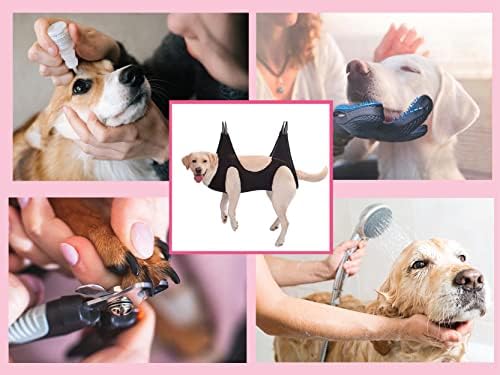 ZARKAVA –11Pcs - kutyakozmetika Függőágy Kis Kutya, Macska | Cica Ápolás Függőágy körömvágót, Pet-Fésű, valamint a Fül-Eye
