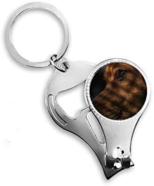 Kutya Kedvtelésből Tartott Állat Eszmei Képet Köröm Zimankó Gyűrű Kulcstartó Sörnyitó Clipper