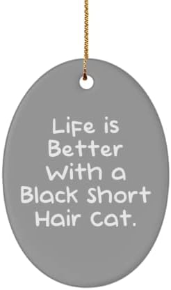Élet Jobb egy Fekete Rövid Haj Macska. Ovális Dísz, Fekete Rövid Haj Macska , Hasznos Ajándékokat Fekete Rövid Haj Macska